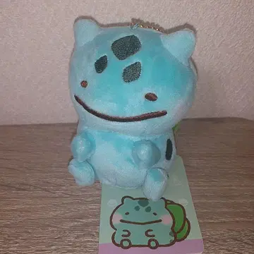 포켓몬 카나헤이 마스코트 푸시키다네