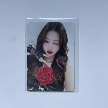 IVE 도쿄돔 굿즈 트레이딩 카드 스탠드 트레이딩 카드 원영