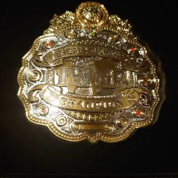 4대 헤비급 챔피언 벨트 버클 NJPW 신일본 프로레슬링