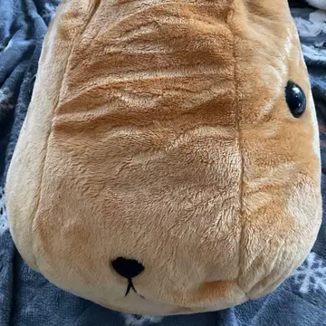 카피바라 씨 봉제 인형 특대형