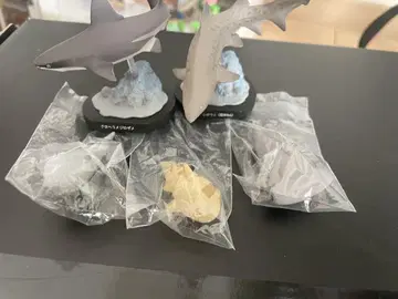 상어 오아라이 수족관 캡슐 토이 가챠가챠