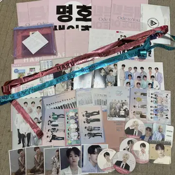 세븐틴 뉴스레터 슬로건 정한 코스터 메쉬 파우치