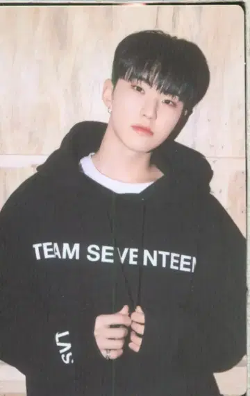 세븐틴 호시 2022 6th 팬미팅 CARAT LAND 18