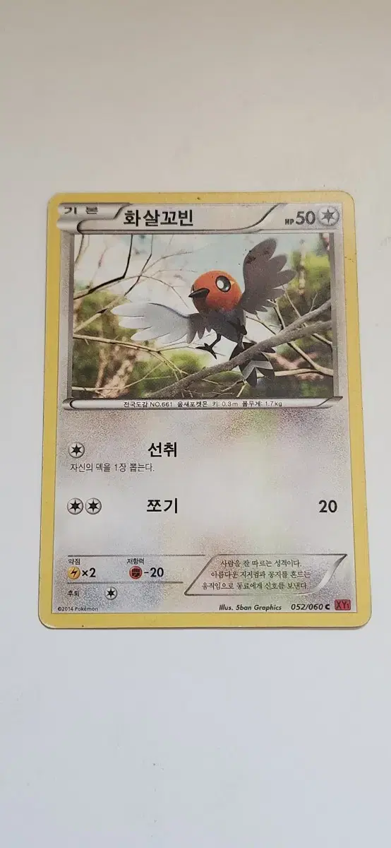 포켓몬스터 화살꼬빈