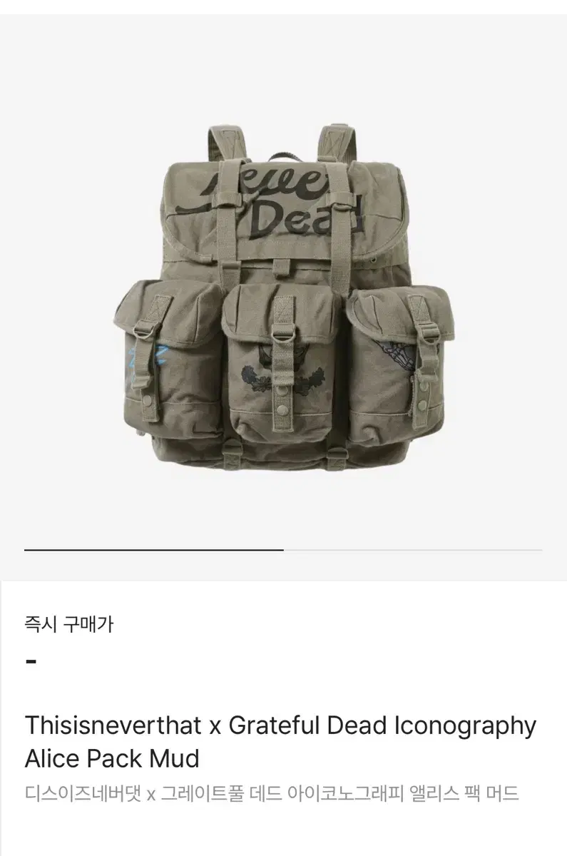 디스이즈네버댓 그레이트풀 데드 아이코노그리피 백팩 극새제품 판매