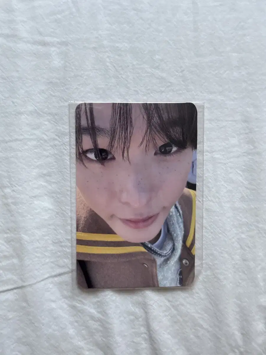 위시풀 무모샵 리쿠 포카 양도