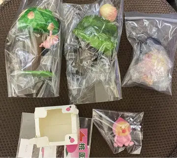 코비토즈칸 코비토 도감 카쿠레모모지리 모모지리