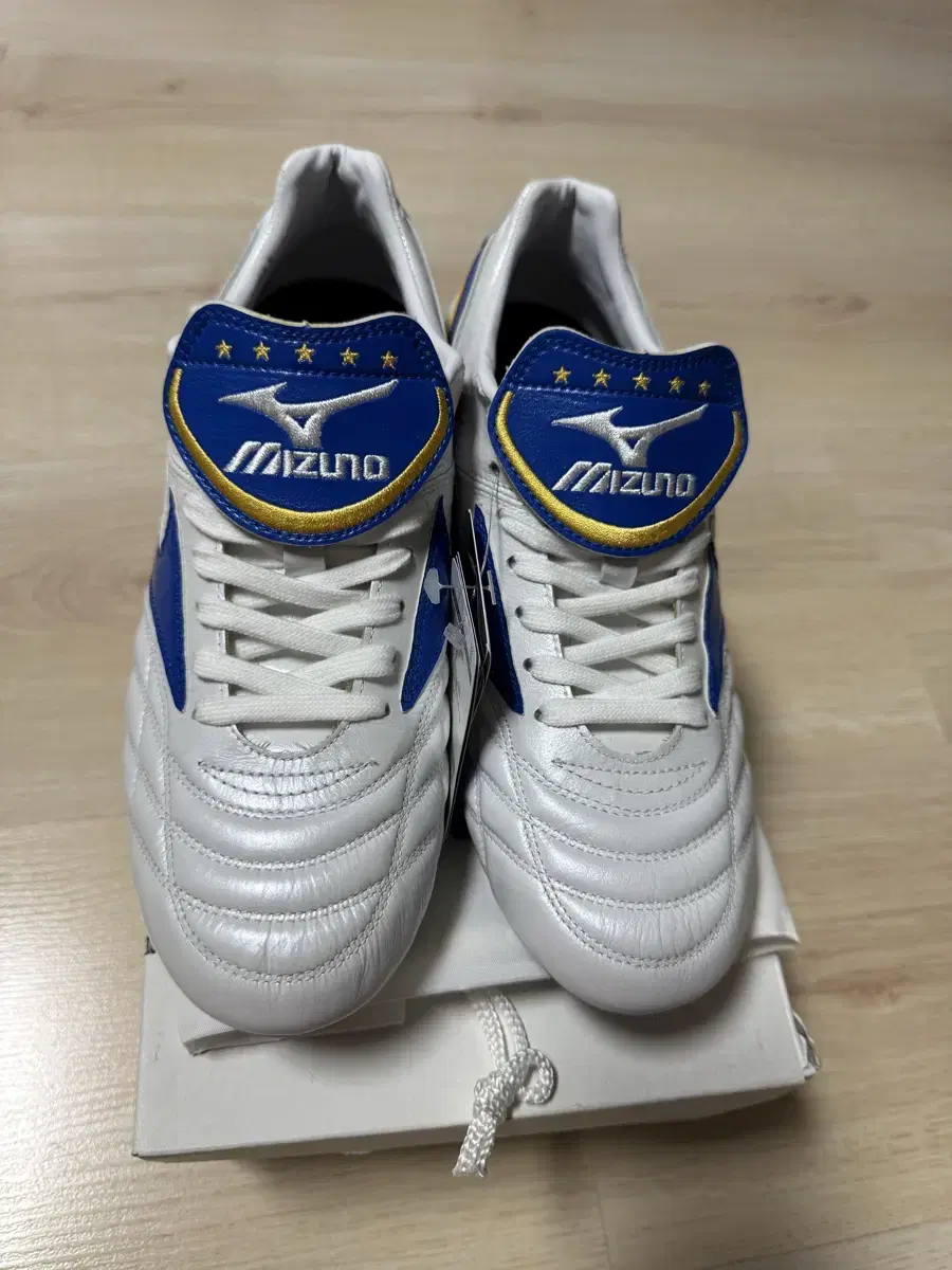 Mizuno Wave Cup Legend 260