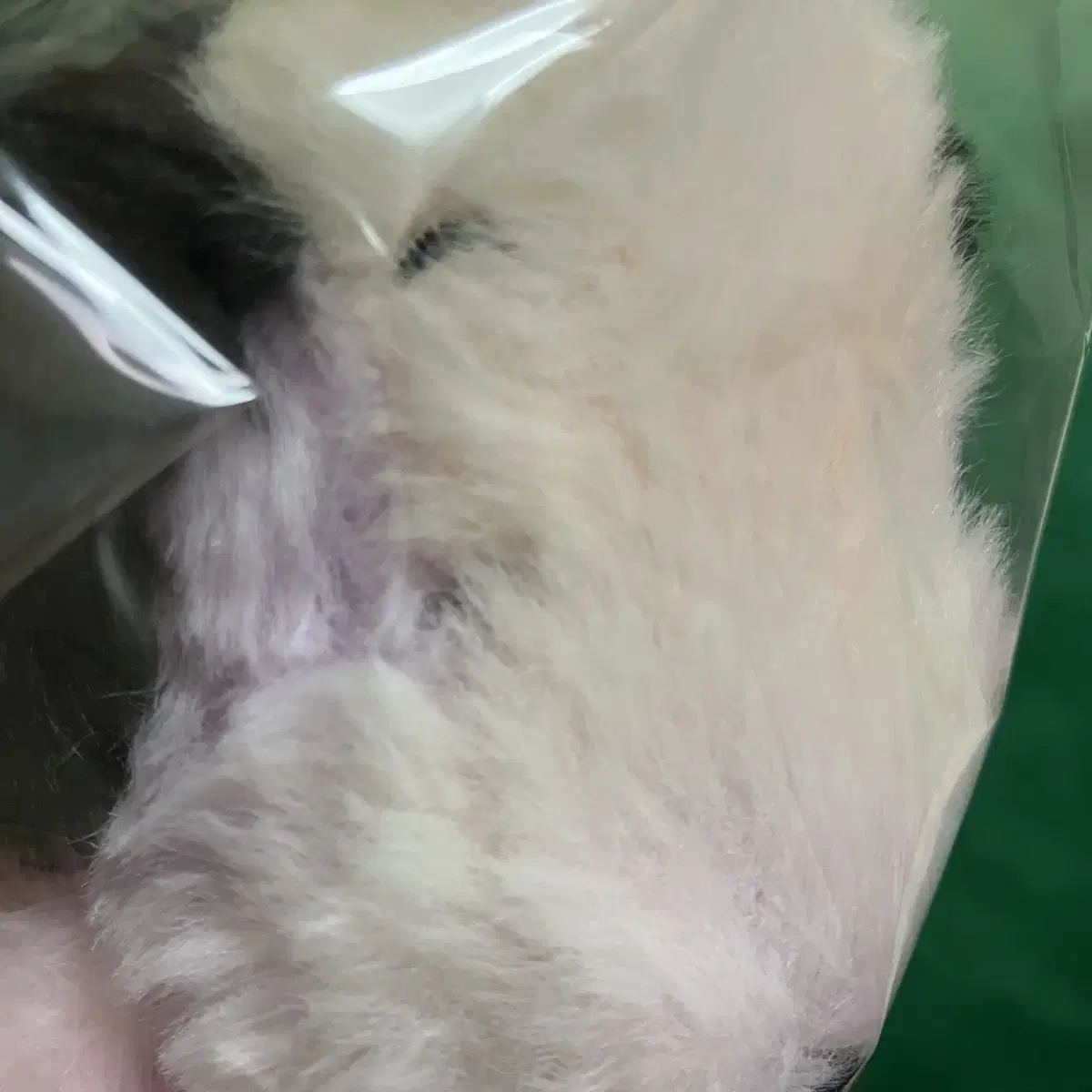 스누피 고리 인형 키링