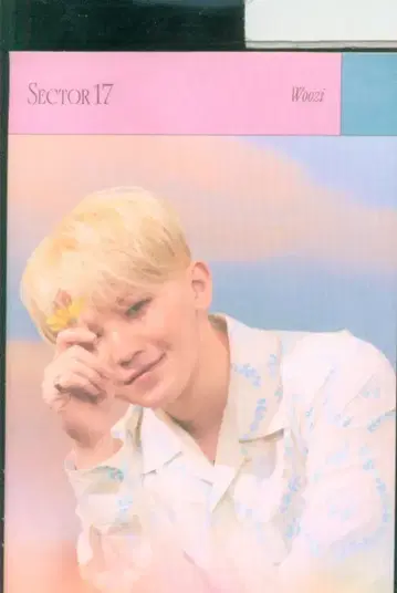 SEVENTEEN SECTOR 17 WOOZI 스티커