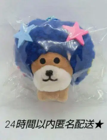 매달린 봉제 인형 아프로 개 마스코트