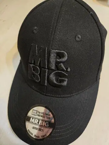 MR.BIG The Big Finish 야구 모자