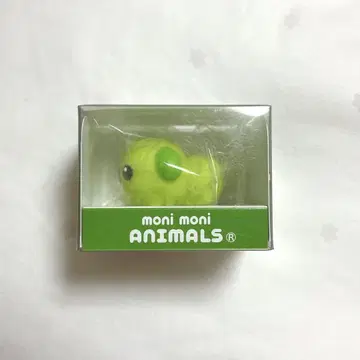 2015년 콩 시바 모니 모니 ANIMALS 모니마루즈