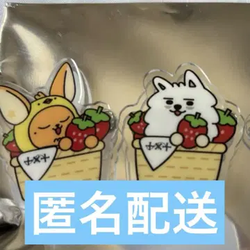 TXT 풀바투 아크릴 배지 후쿠오카 팬천용
