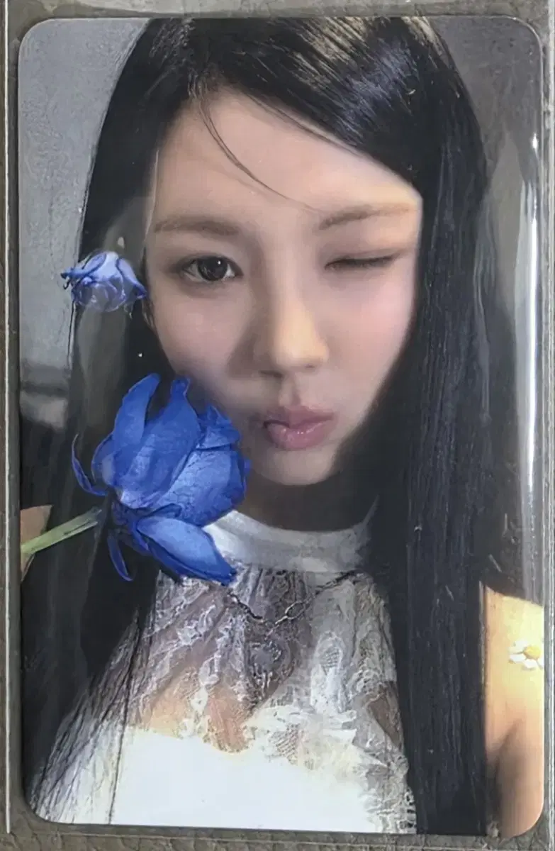 이프아이 ifeye NERDY 공방포카 미유