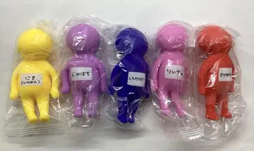 여자 연구 대학 mob.ver 총 5종 33250430J26S