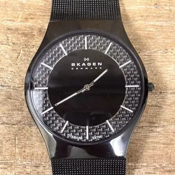 used SKAGEN 스카겐 DENMARK 남성용 손목시계 티타늄