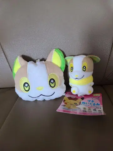 완파치 세트