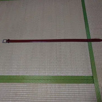 에비수 에나멜 벨트