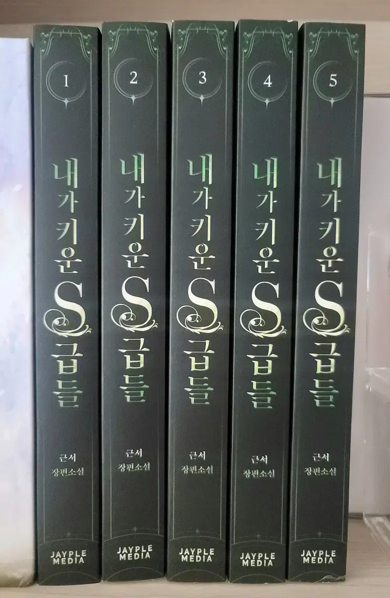 My S-Class Heroes Paper Book Volumes 1-5 in bulk