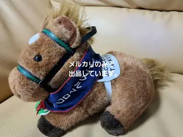 AVANTI S 사이즈 잭 루마로와 상 태국 셔틀