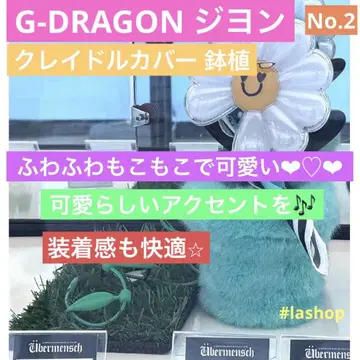 G-DRAGON 지용 클레이 커버 화분