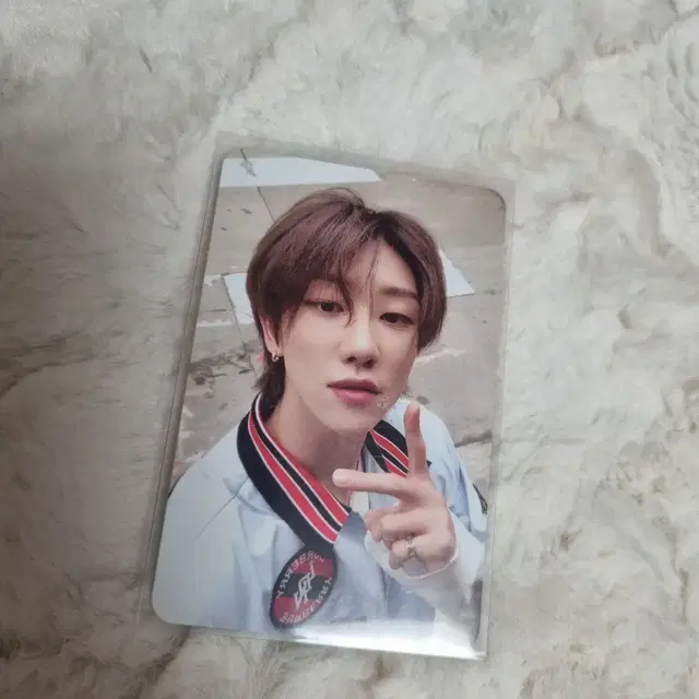 세븐틴 디에잇 헹가래 포카