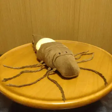 고대 생물 메가라크네