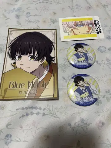 블루 록 전 blue noble 산리오 캔뱃지 하치라쿠 파샤코레