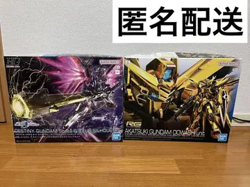 RG 아카츠키 HG 디스티니 SPEC2 제우스 실루엣 세트