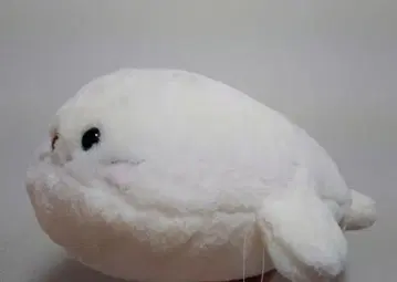 시로탄 봉제 인형