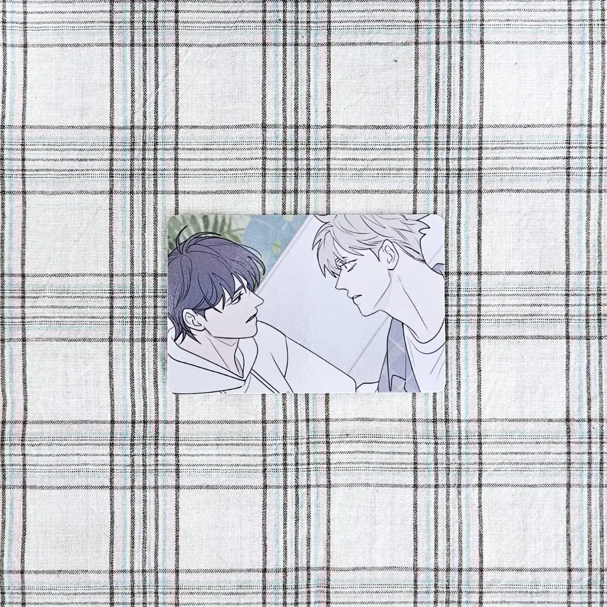Dosupool Cafe Lebom pre-order benefit gift dessert photocard poca Bomtoon Lezhin Comics bl