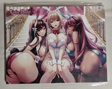 아틀리에 카구야 BARE&BUNNY 컬렉션 2 W-3 캔버스 보드