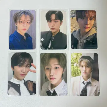 NCT WISH 재희 트레이딩 카드 묶음 판매 세트