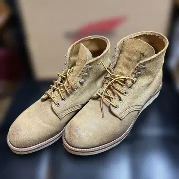 REDWING 레드윙 8181 us6D 오일 스웨이드