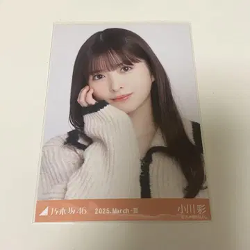 노기자카46 오가와 아야 브로마이드 - 집업 가디건 요리