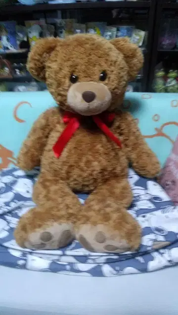 TEDDY BEAR COLLECTION 스몰 베어 봉제 인형