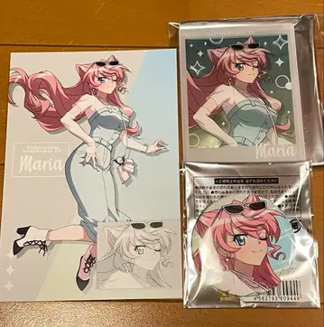 신포기어 스키마 스토어 마리아 정리