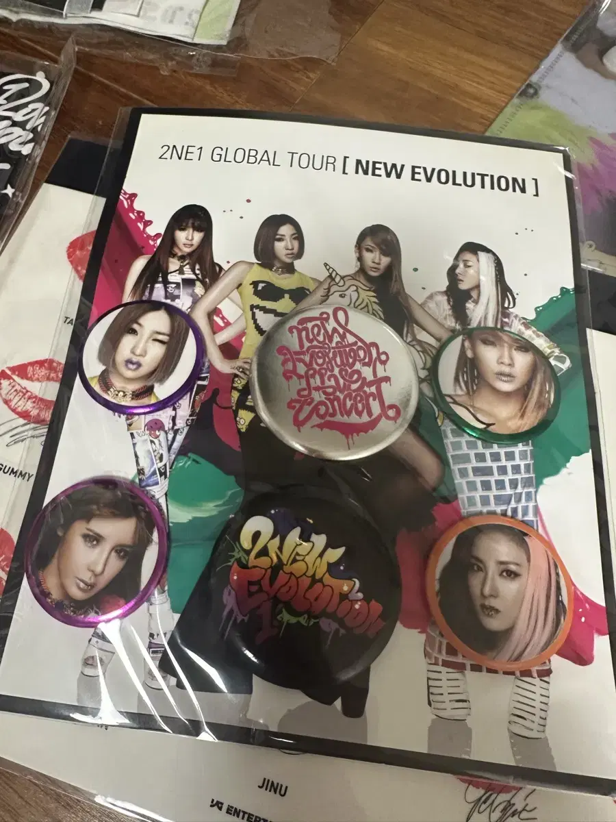 투애니원 2ne1 new evolution 콘서트 핀버튼세트