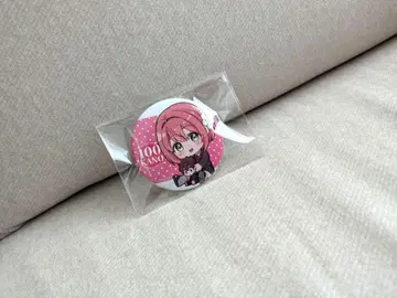 100카노 캔뱃지 깃털 카리