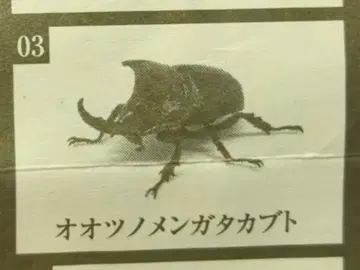 반다이 생물대도감 가부토무시 06 오오츠노멘가타쿠부토 3