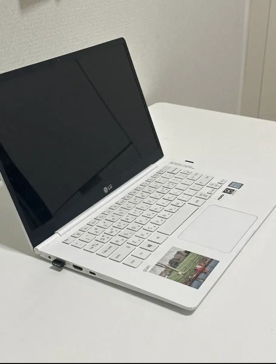 LG gram Laptop 14ZD980-GX50K