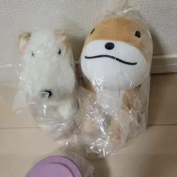 아란지아론조 봉제 인형 세트