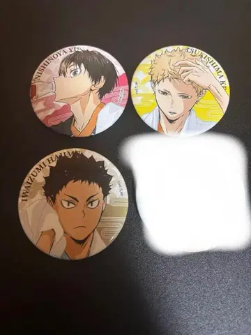 하이큐 극락탕 캔뱃지 카라스노 아오바 조니시