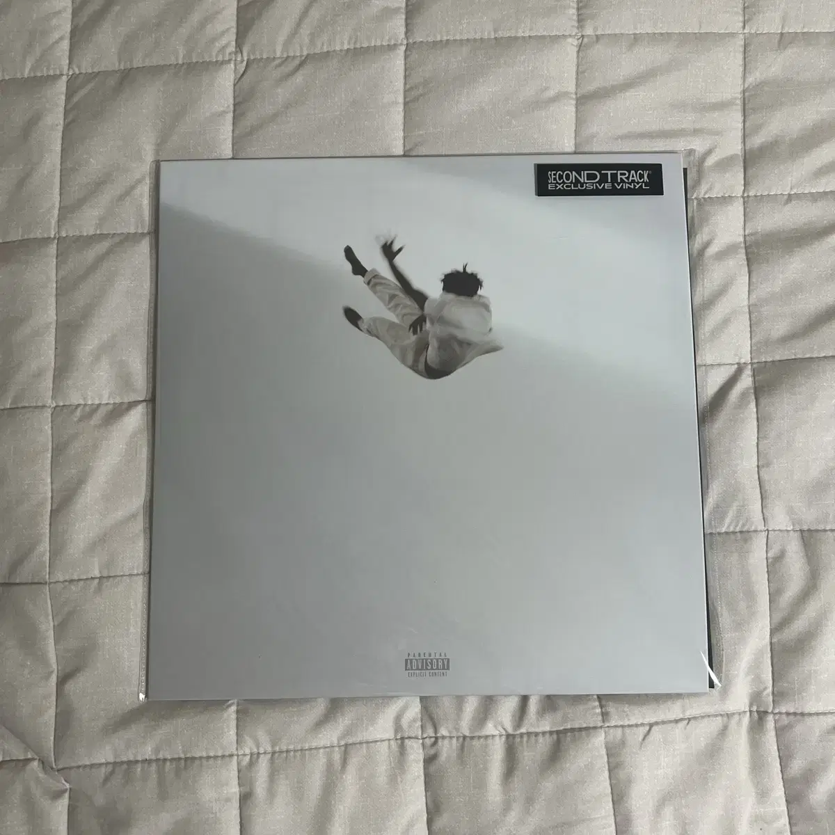 다니엘 시저 Pilgrim's Paradise LP