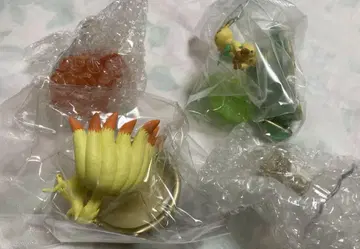 포켓몬 리멘트 빛나는 신비의 기적 리피아, 큐콘