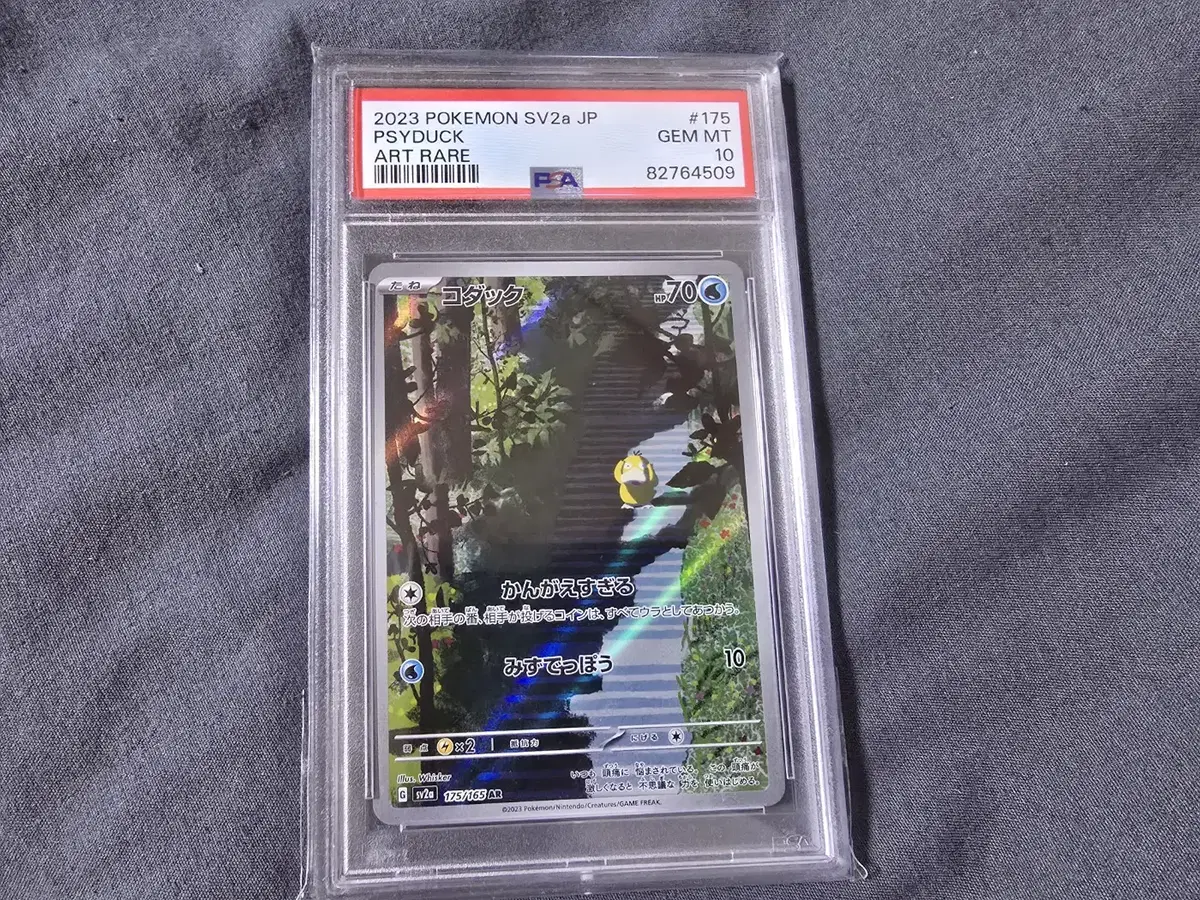 일판 고라파덕 AR PSA 10등급