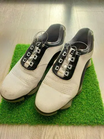 FOOT JOY 풋조이 56136J XPS-1 골프화