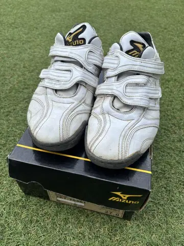 Mizuno 트레이닝 슈즈 화이트