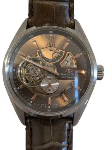 ORIENT STAR 오리엔트 스타 손목시계 DK05-C0-B-CA